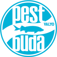 VALYO logo szines.png