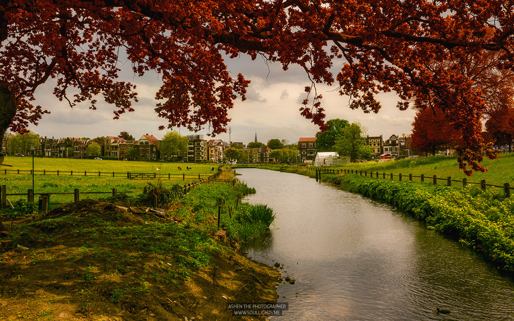 Arnhem in Red