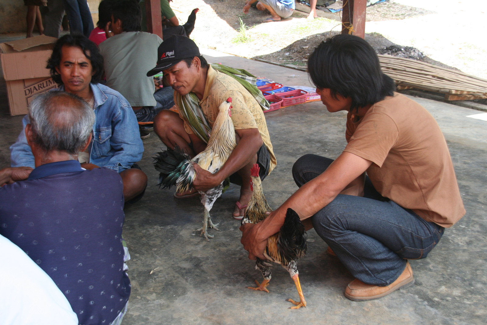 Indonézia Celebesz Sulawesi Toraja 2359