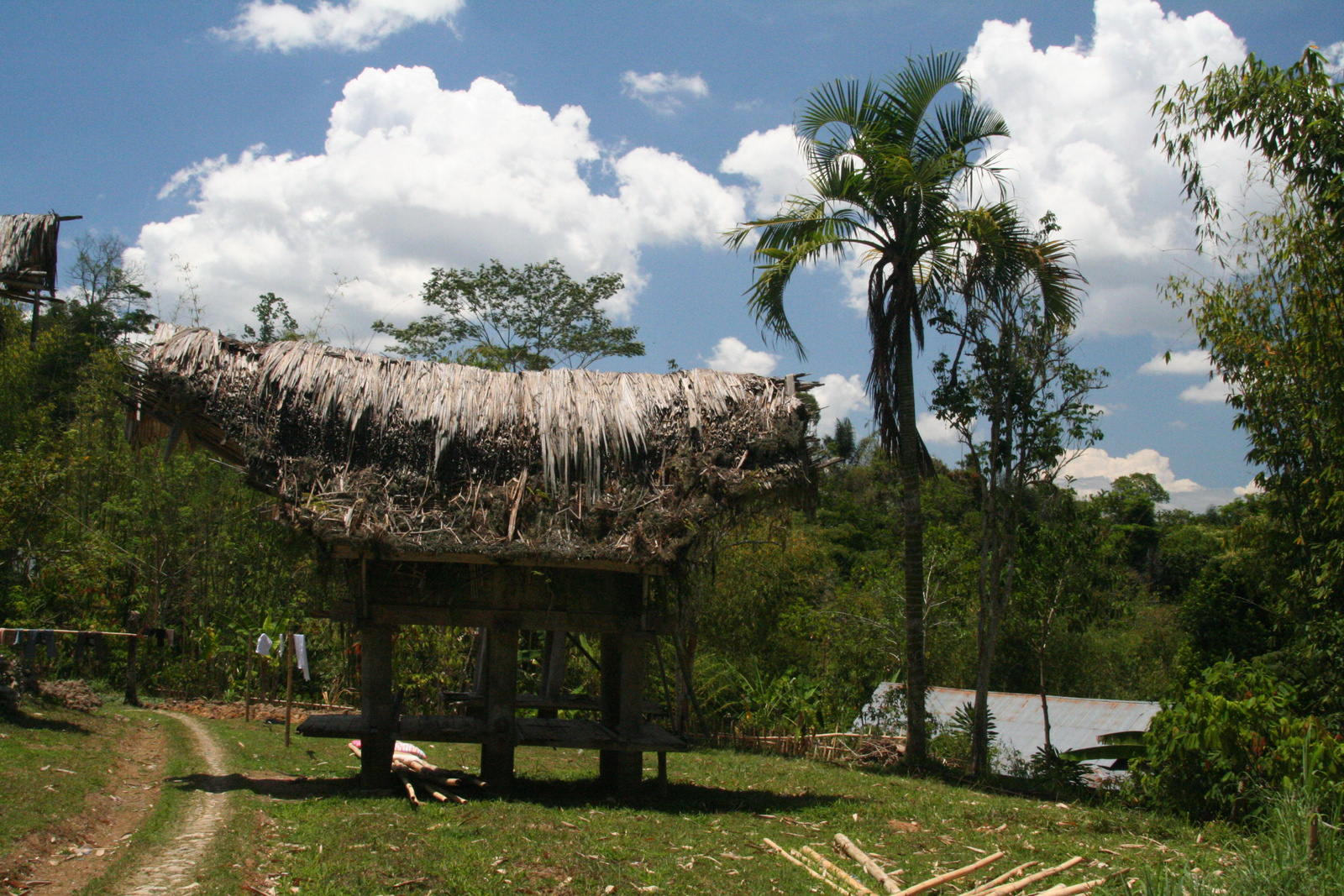 Indonézia Celebesz Sulawesi Toraja 2510