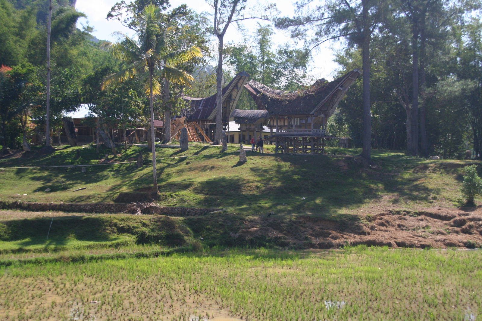 Indonézia Celebesz Sulawesi Toraja 014