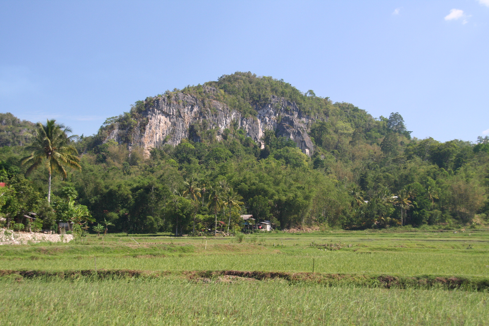 Indonézia Celebesz Sulawesi Toraja 006