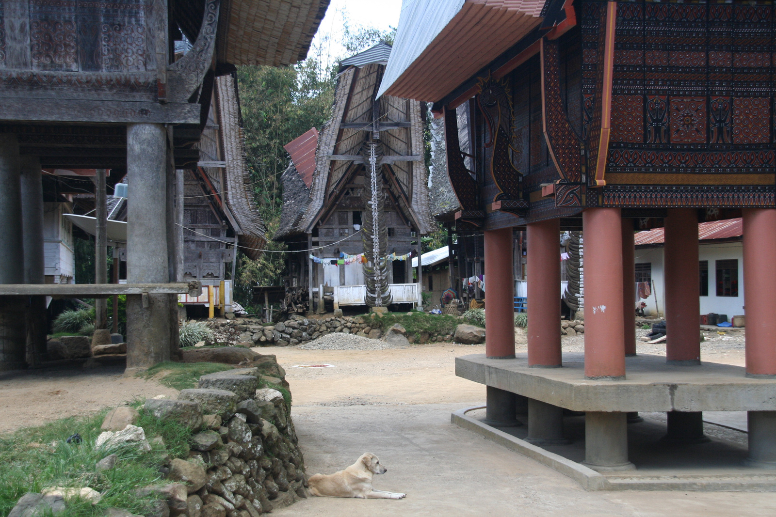 Indonézia Celebesz Sulawesi Toraja wwwpoapohu 668