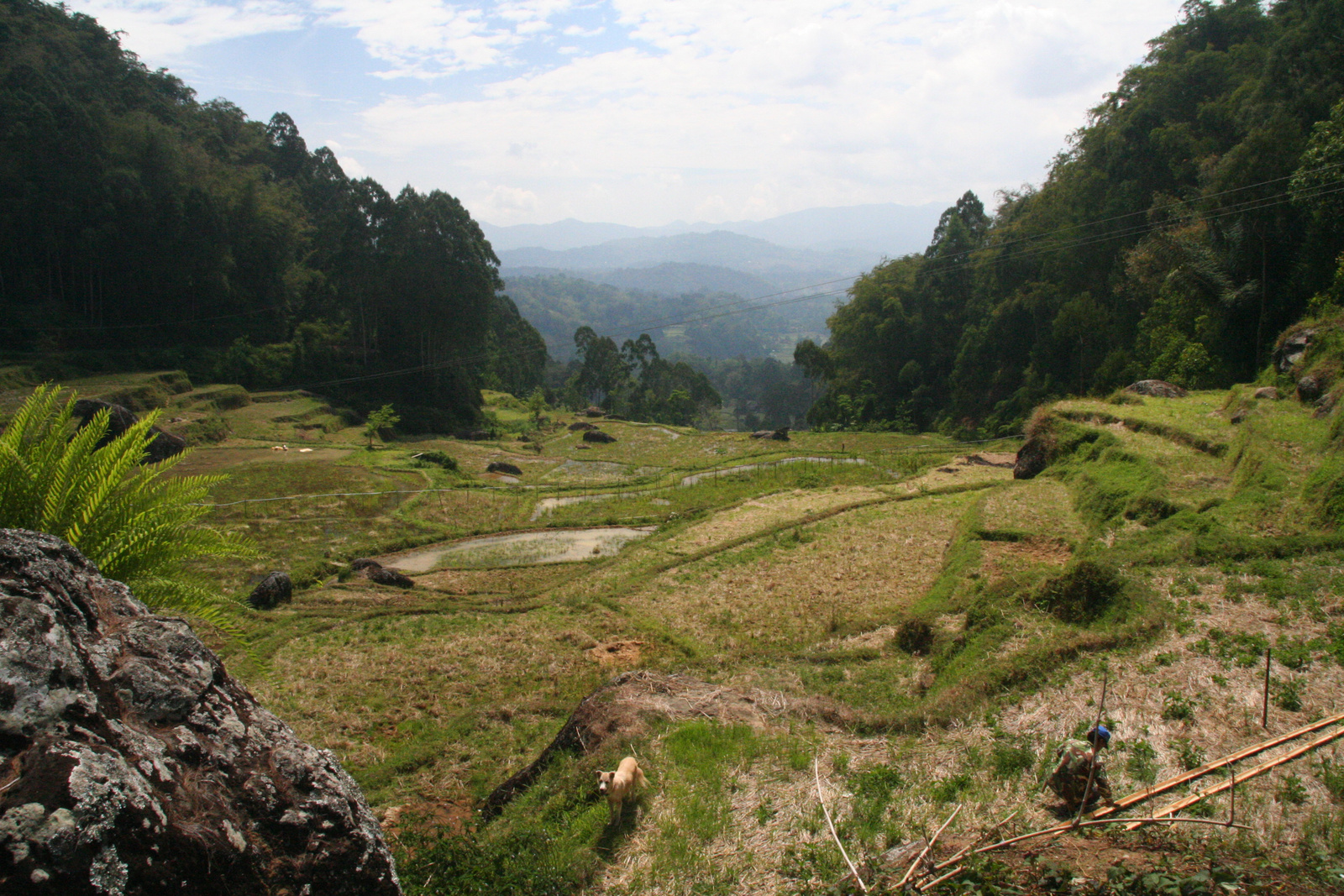 Indonézia Celebesz Sulawesi Toraja wwwpoapohu 577