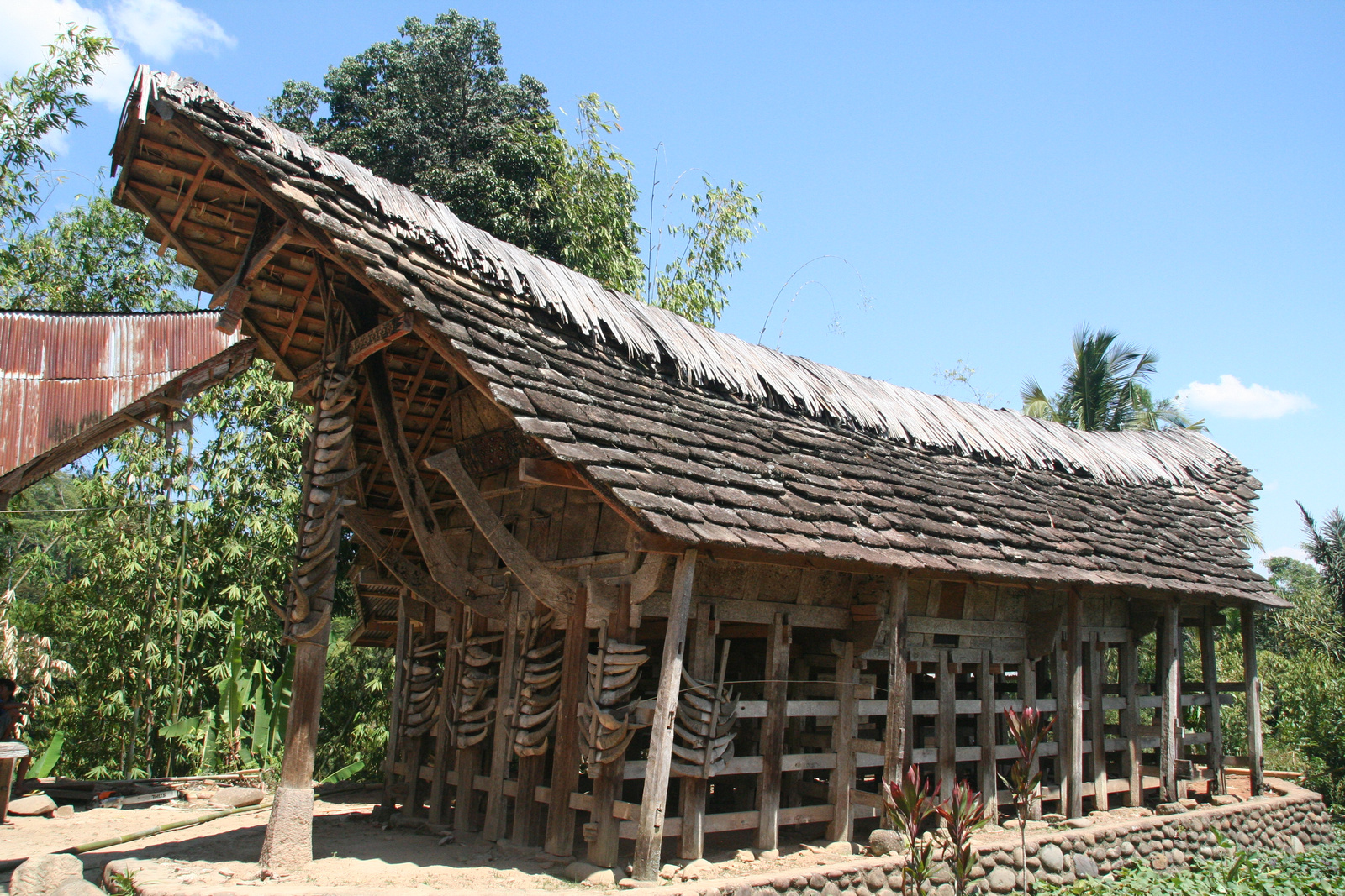 Indonézia Celebesz Sulawesi Toraja wwwpoapohu 473