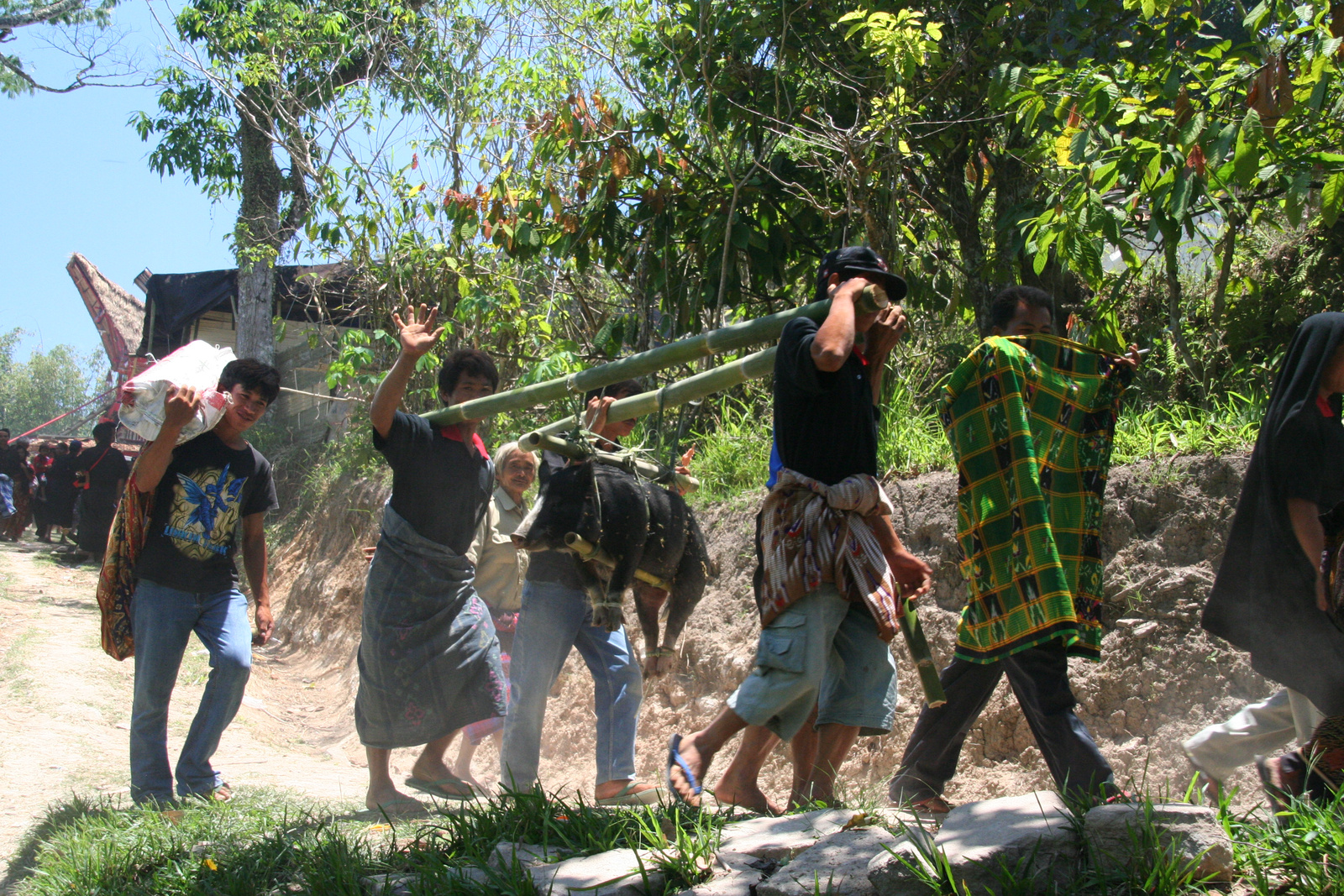 Indonézia Celebesz Sulawesi Toraja wwwpoapohu 388