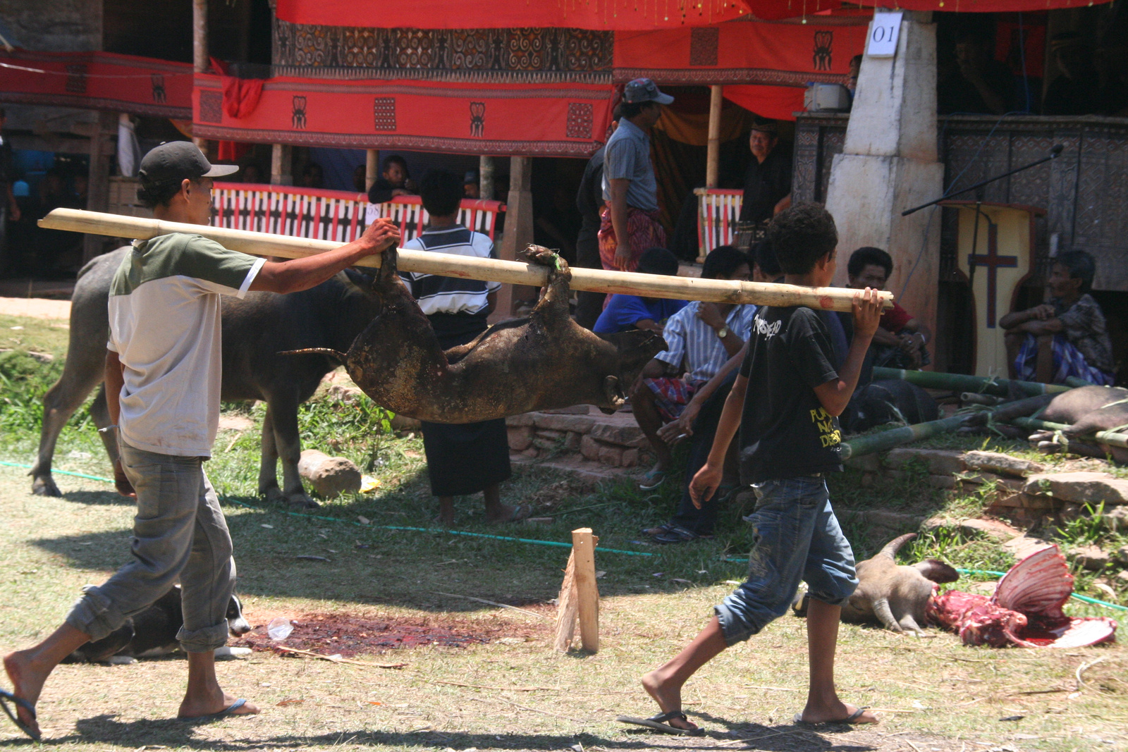 Indonézia Celebesz Sulawesi Toraja wwwpoapohu 381