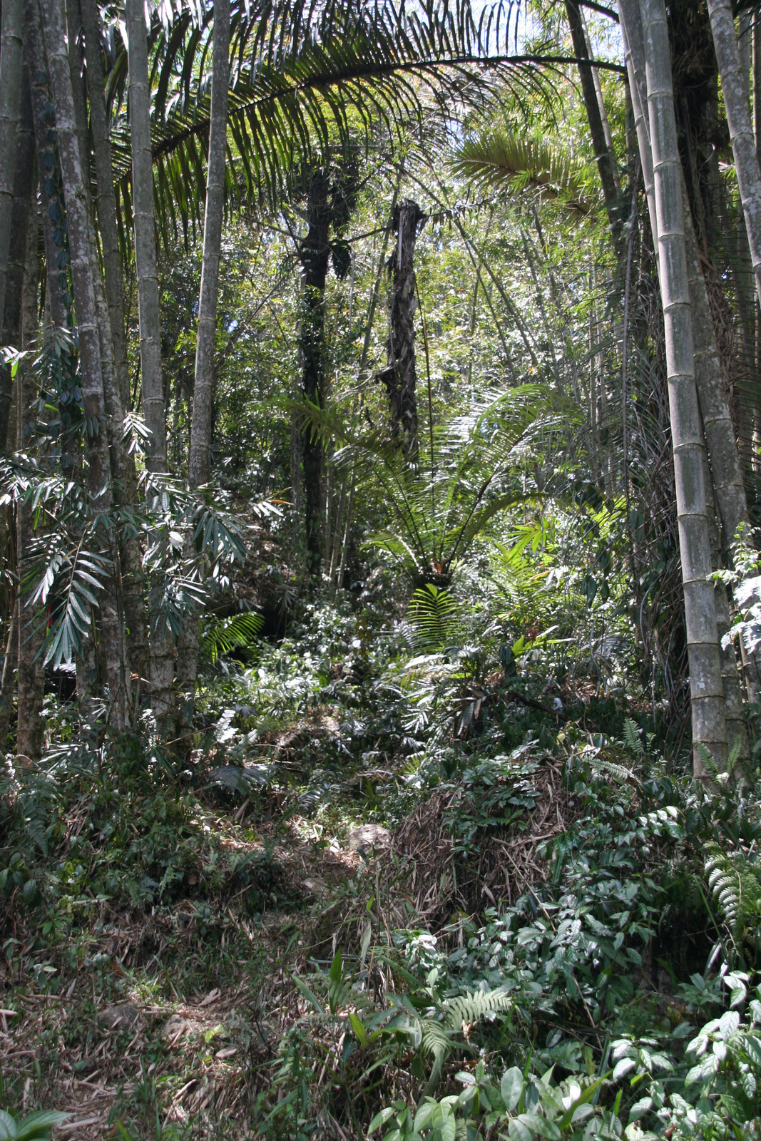 Indonézia Celebesz Sulawesi Toraja wwwpoapohu 753