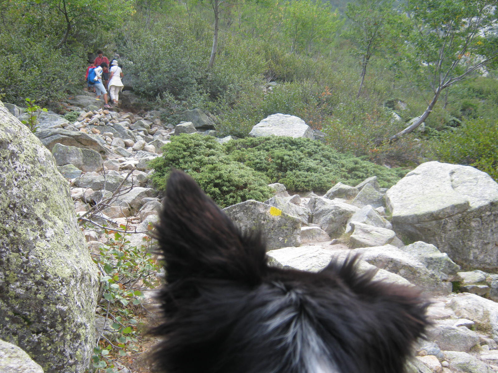 Lac de Melu (18)