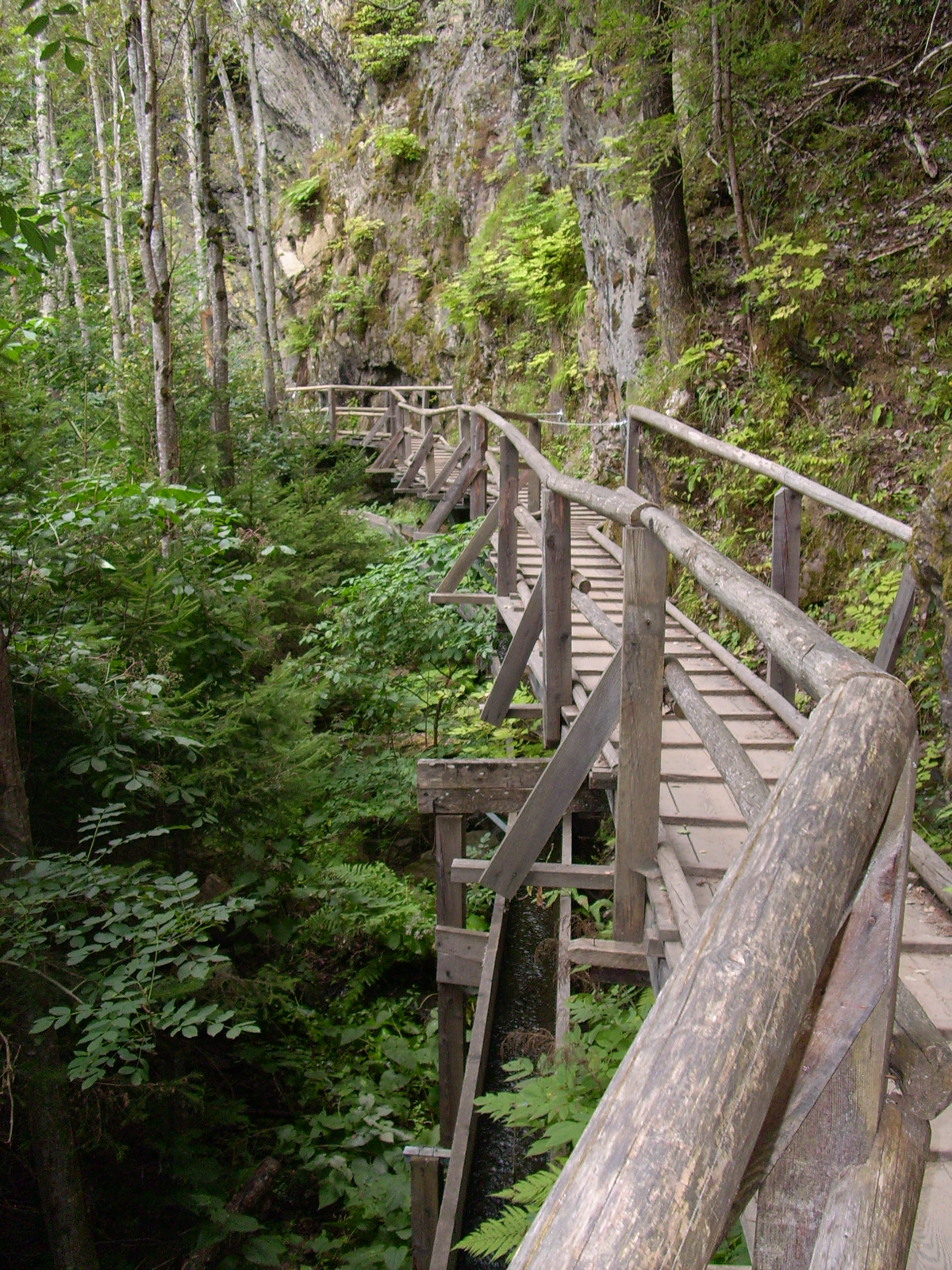 Raggaschlucht kanyon 1 20090821