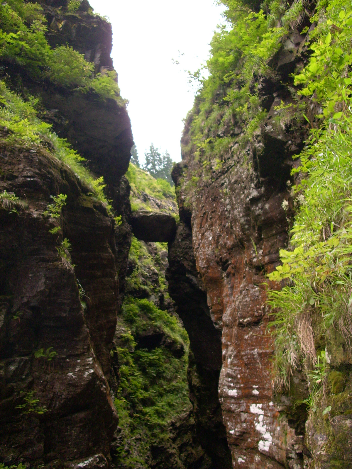 Raggaschlucht kanyon 6 20090821