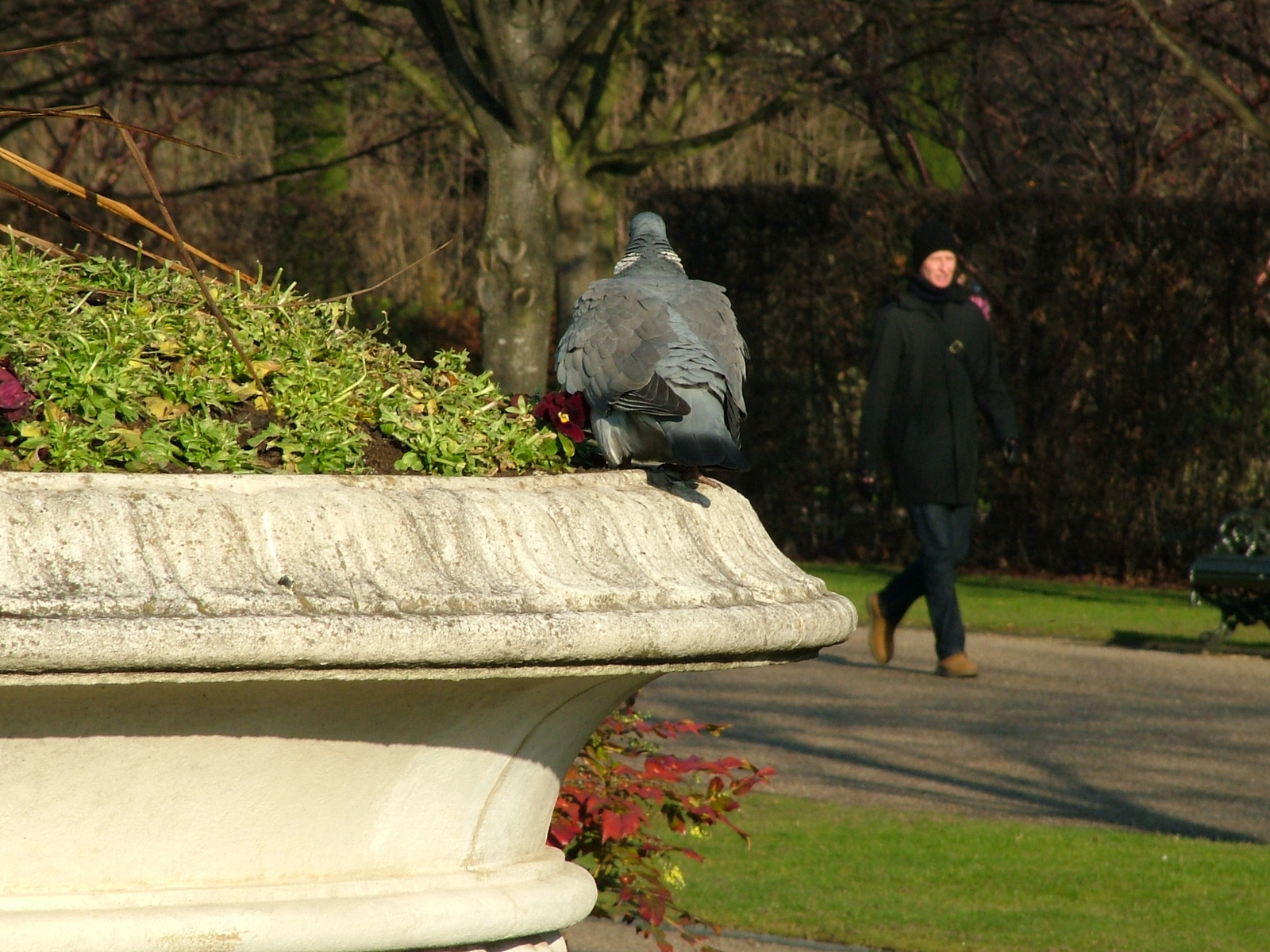 London,2008.Karácsony 134