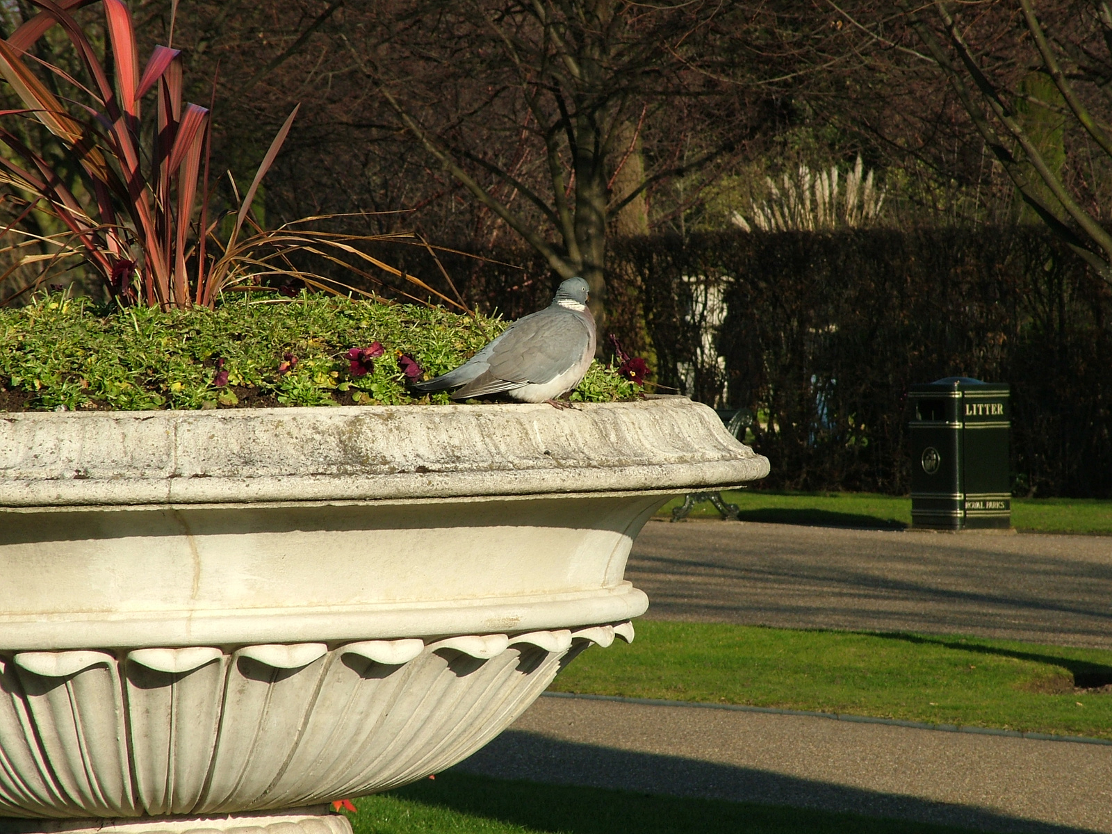 London,2008.Karácsony 133