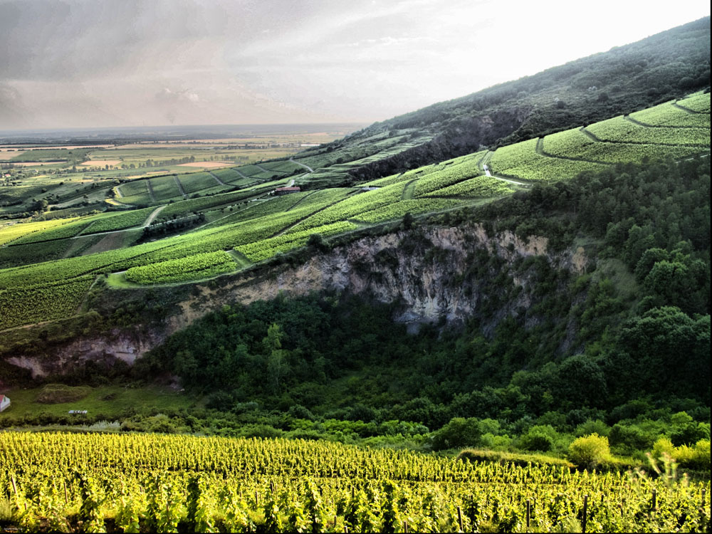 Tokaj