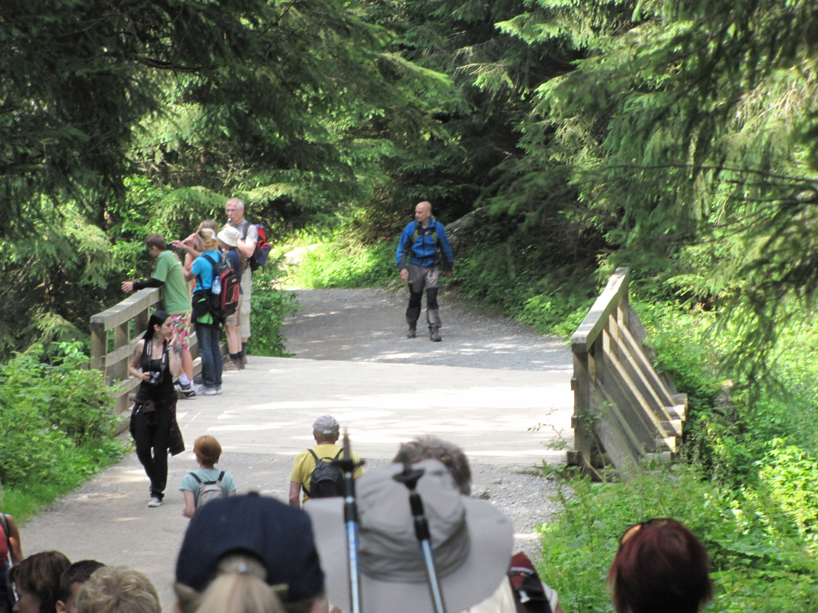 Tátra Nemzeti Park, Dolina Kościeliska, SzG3