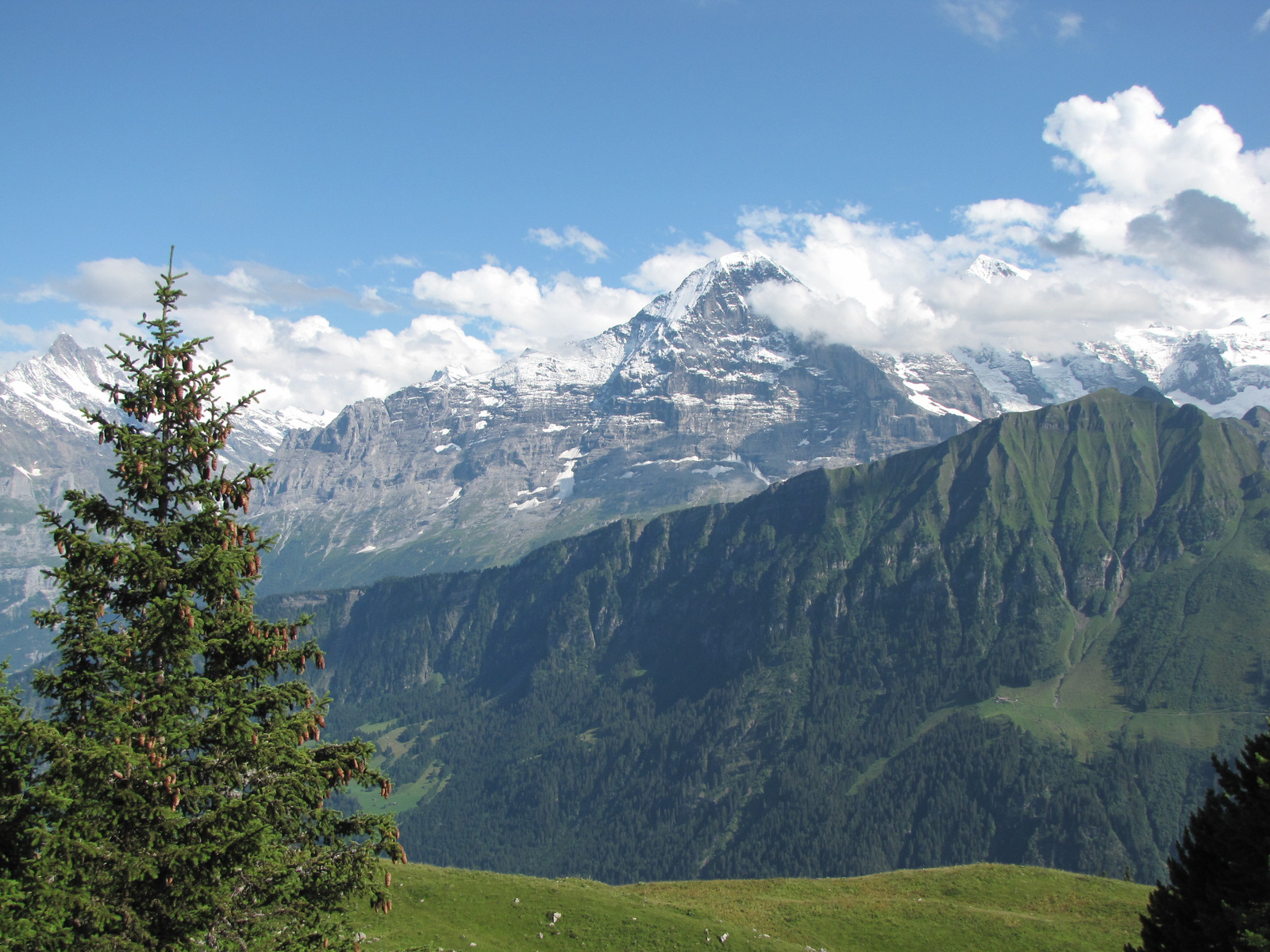 Svájc, Jungfrau Region, Schynigeplatte, SzG3