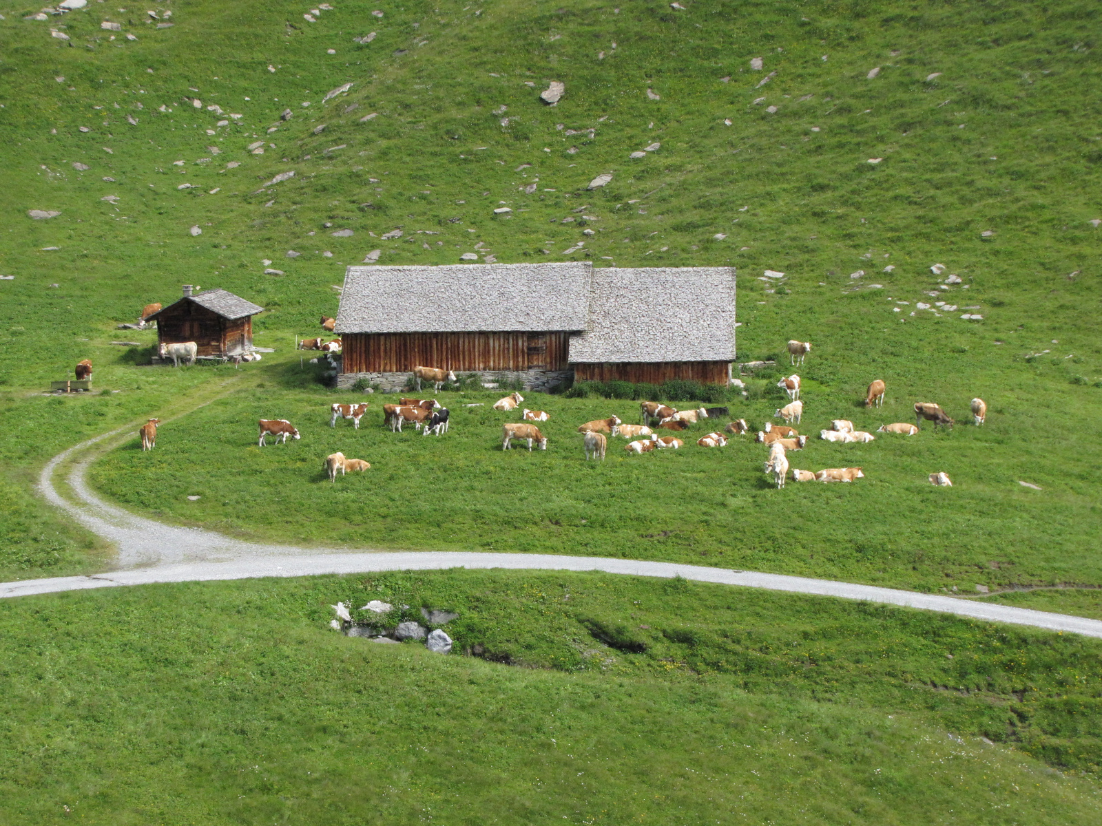 Svájc, Jungfrau Region, First, SzG3
