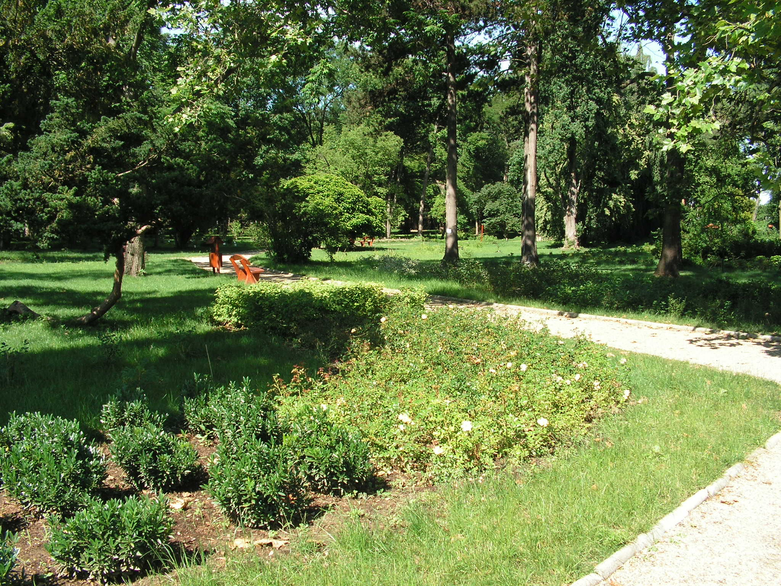 Szombathely, Kámoni arborétum, SzG3