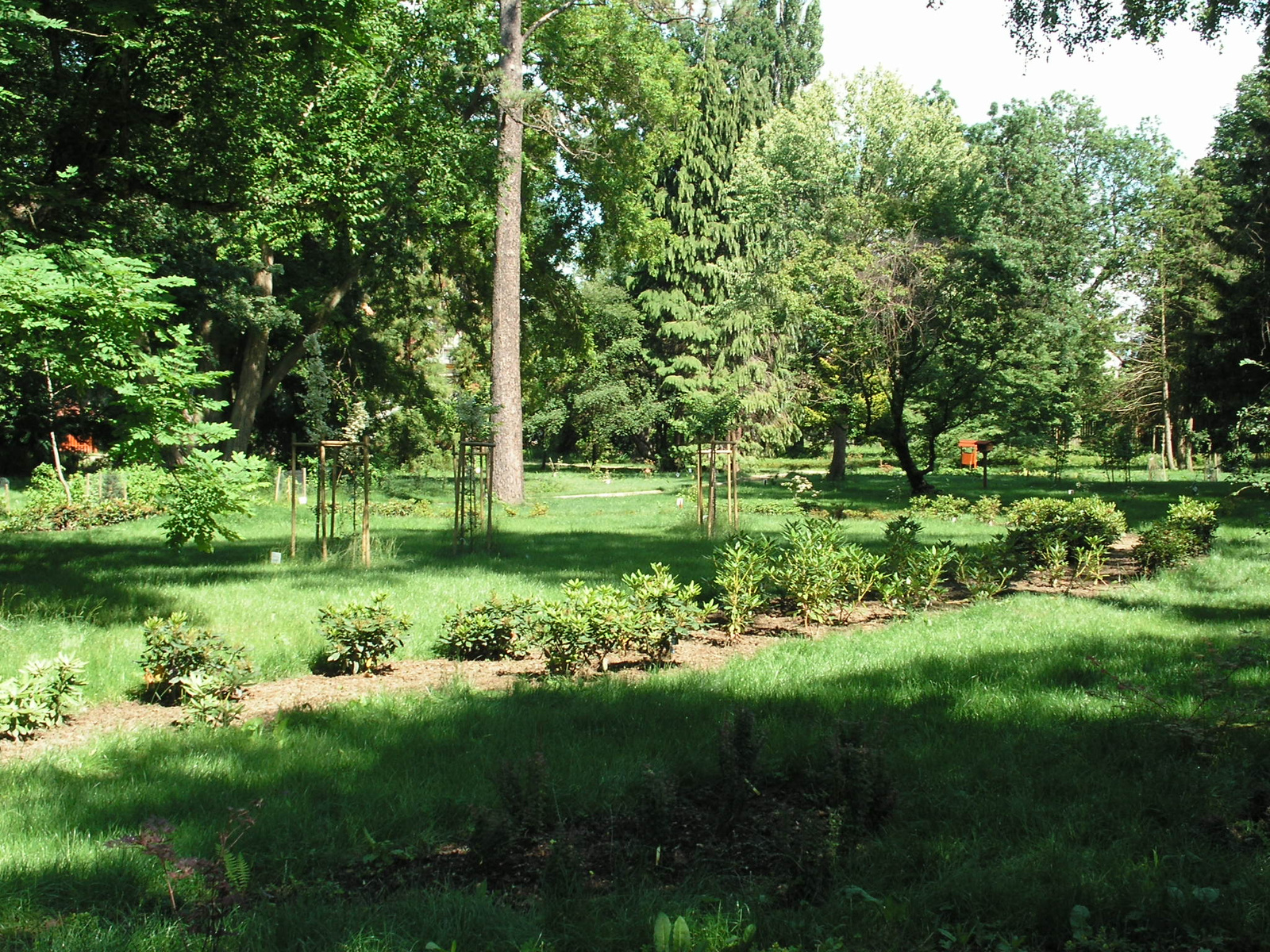 Szombathely, Kámoni arborétum, SzG3