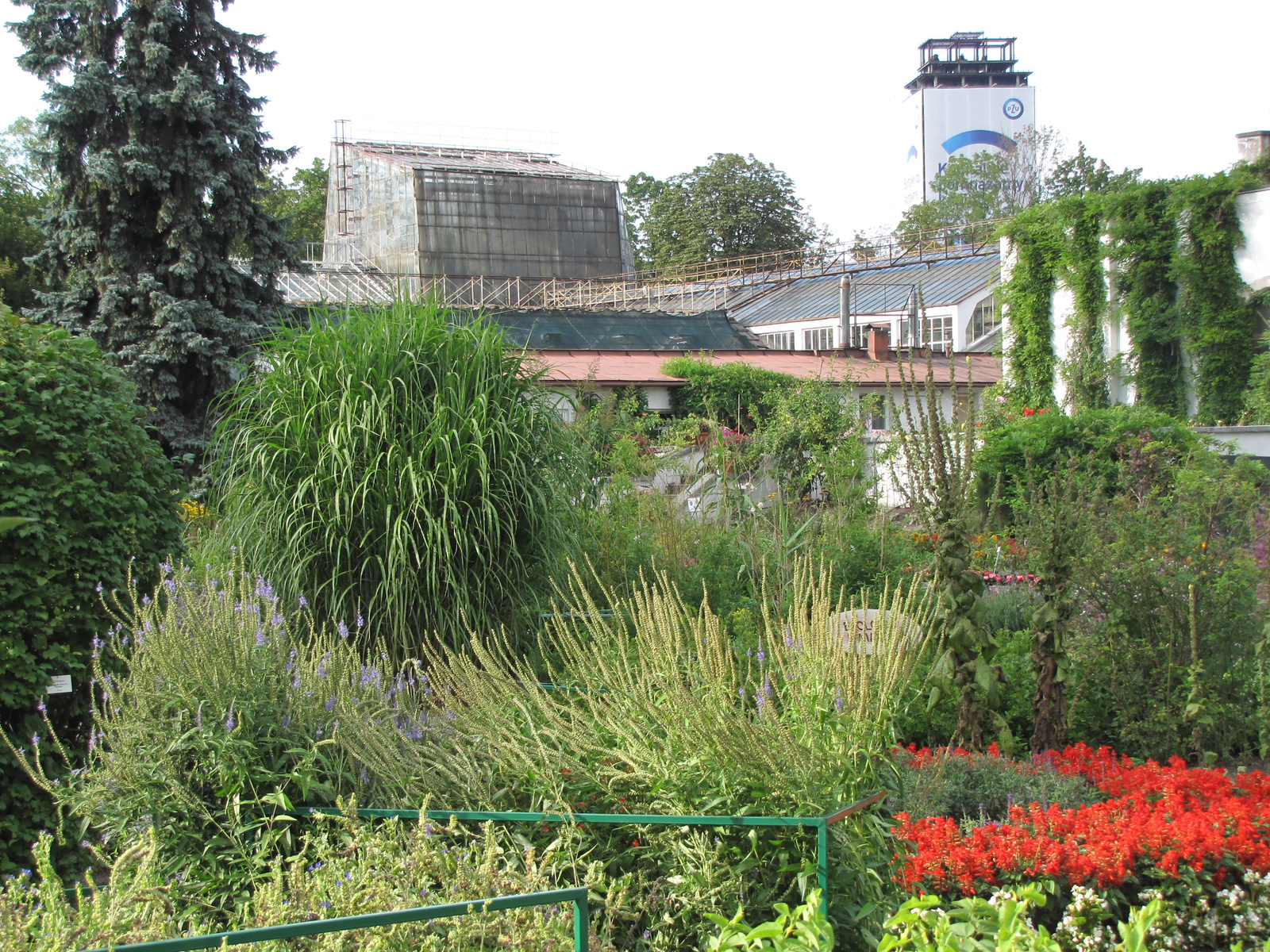 Krakkó, a Botanikus kert, SzG3