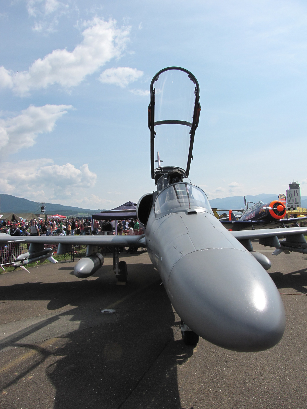 Zeltweg, Airpower 2013, L-159 ALCA, SzG3