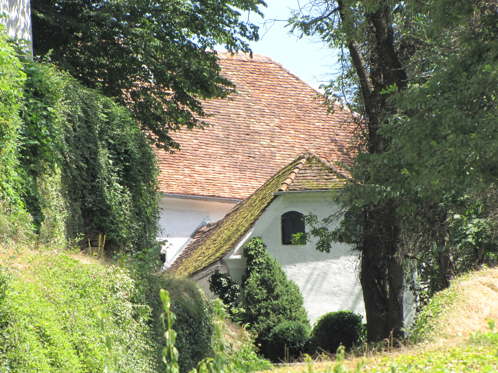 Ausztria, a Herberstein kastély és állatkert, SzG3