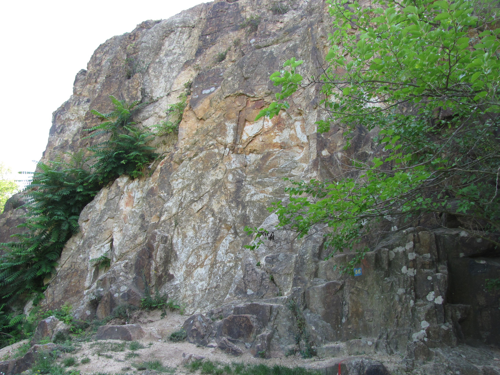 Nadap, a Szintezési Ősjegy melletti szikla, SzG3