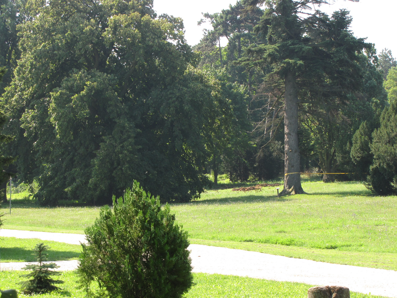 Magyarország, Fehérvárcsurgó, a Károlyi kastély parkja, SzG3