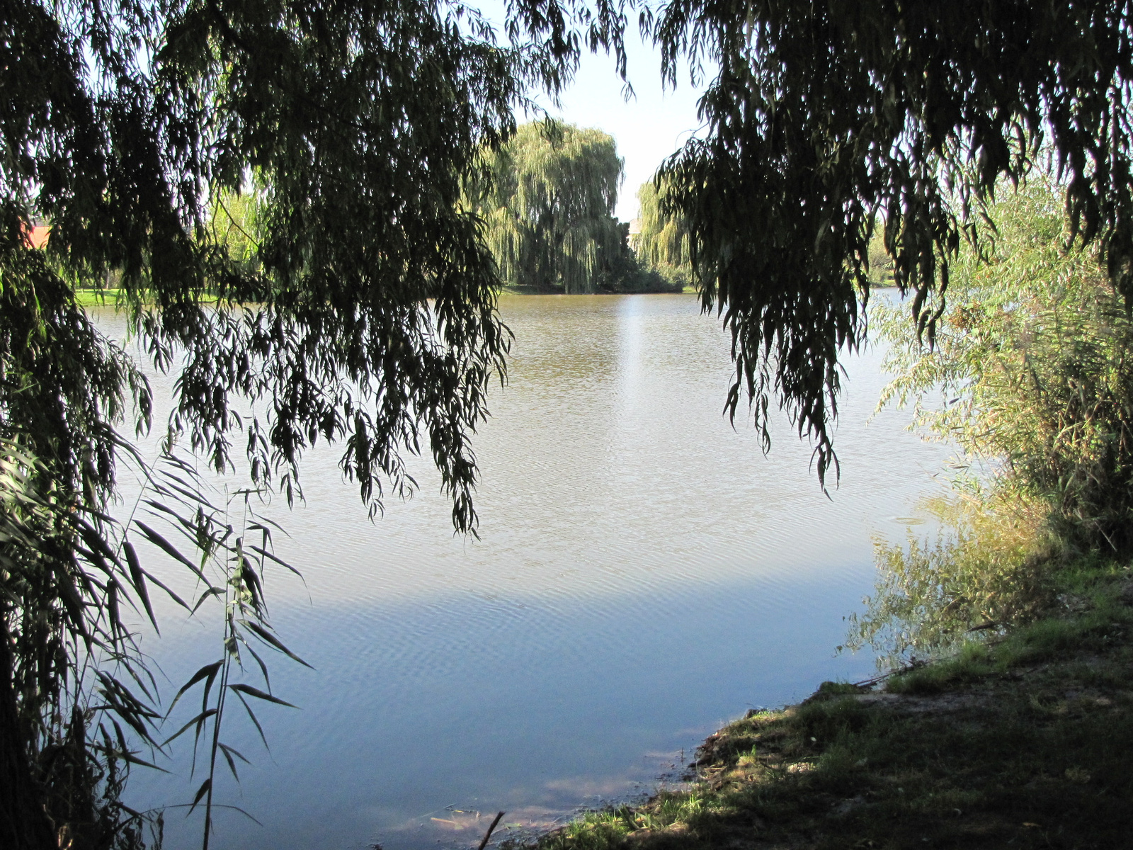 Kisbér, a Batthyány kastély volt parkja, horgásztó, SzG3