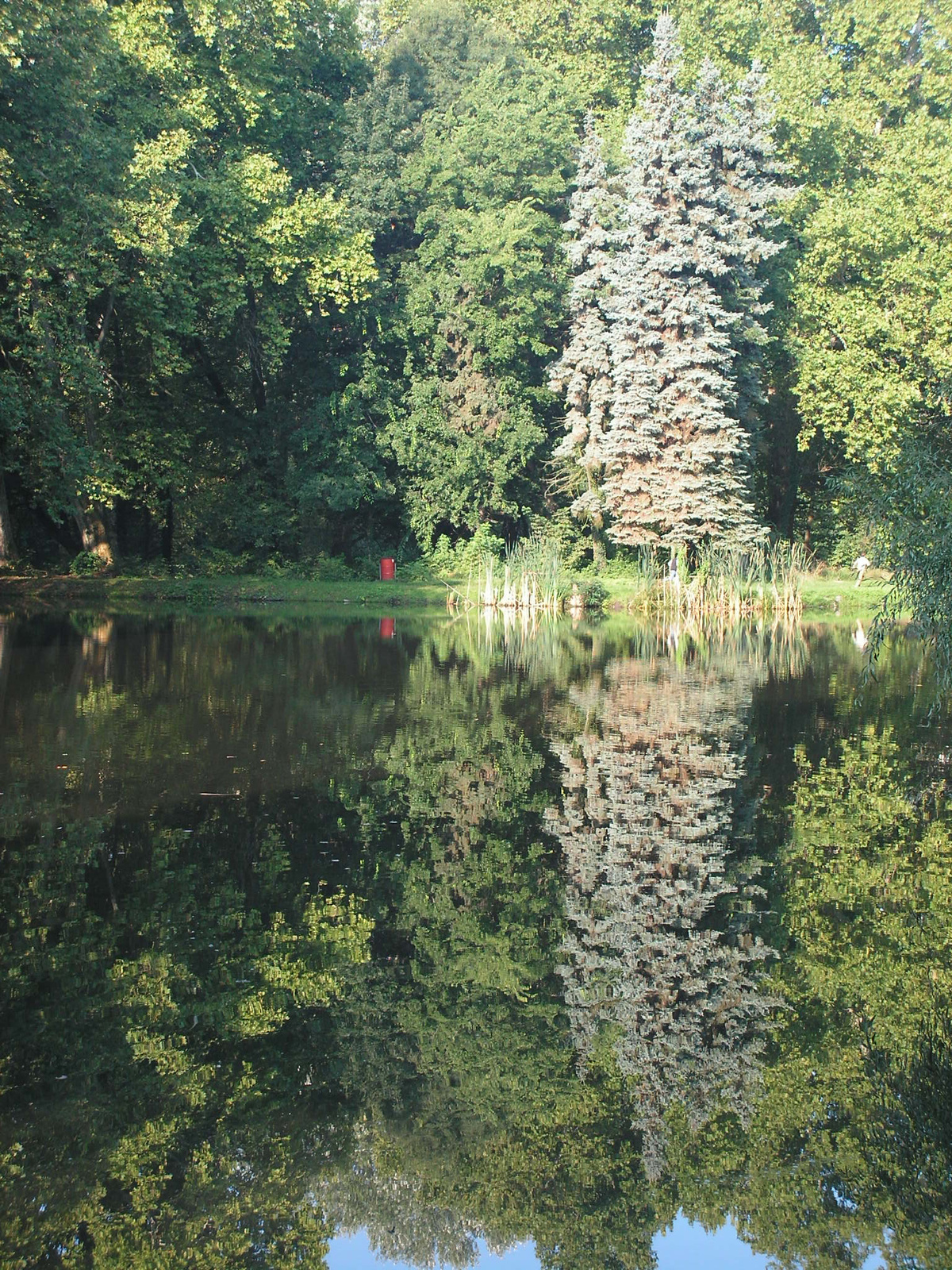 Fót, Károlyi kastély parkja, SzG3