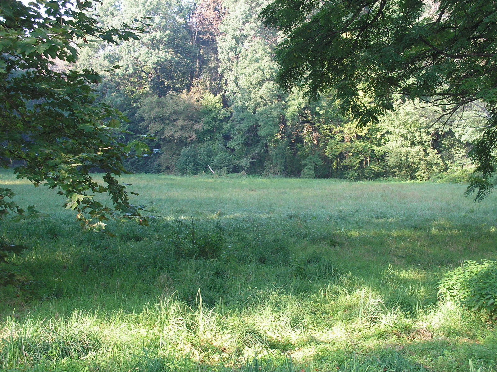 Fót, Károlyi kastély parkja, SzG3