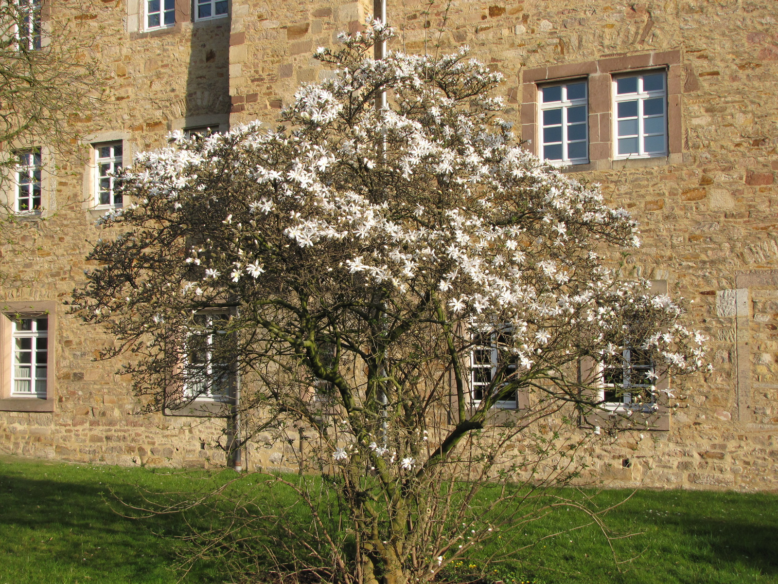 Németország, Melsungen, Schloß zu Melsungen, SzG3