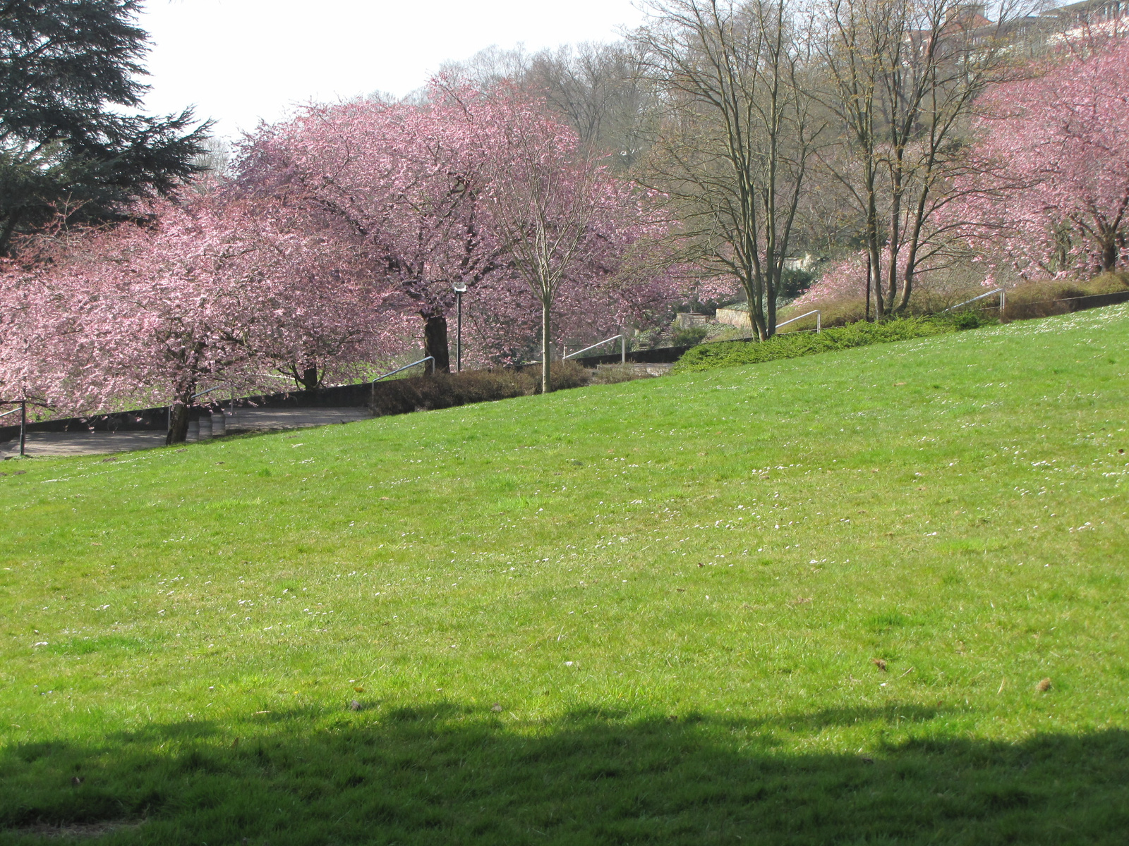 Kassel, park a Kis-Fulda mentén, SzG3