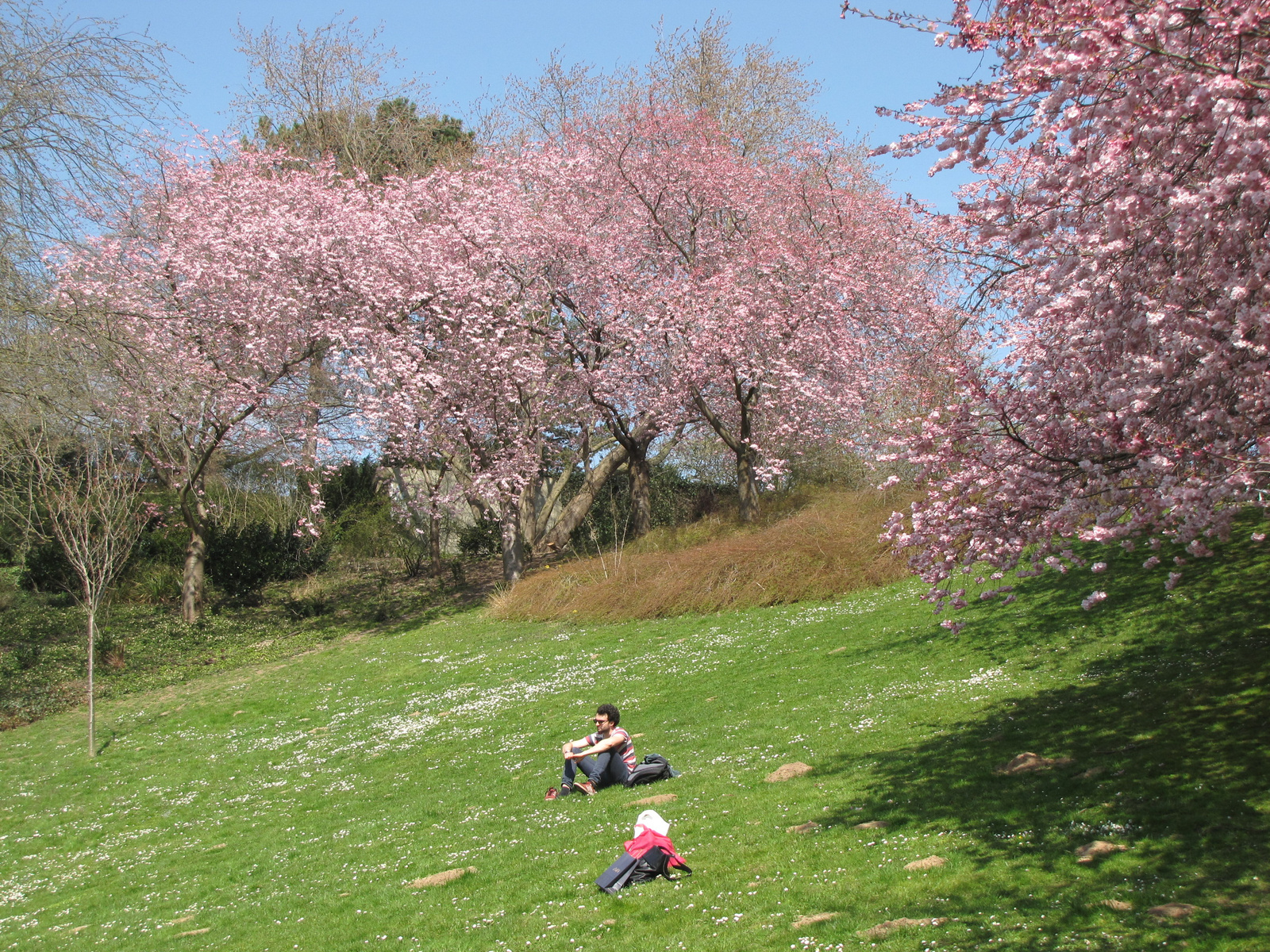 Kassel, park a Kis-Fulda mentén, SzG3