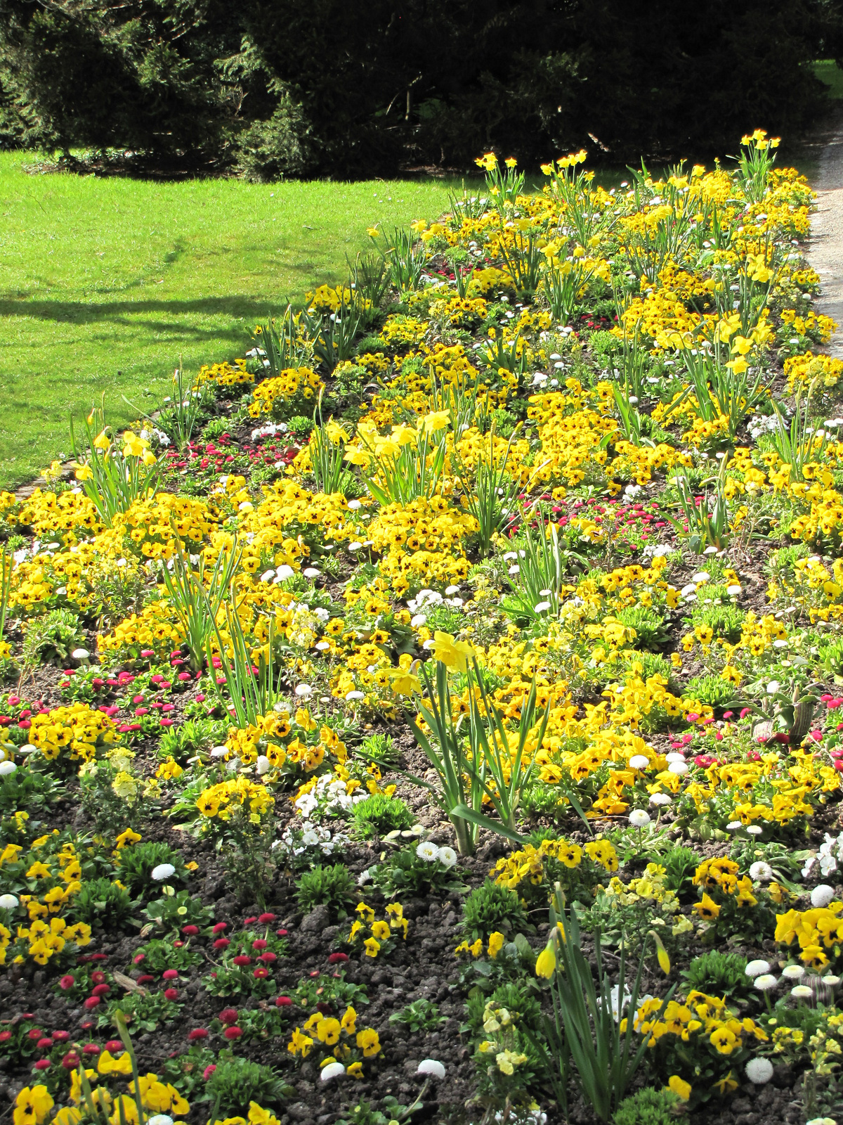 Kassel, Blumeninsel Siebenbergen, SzG3