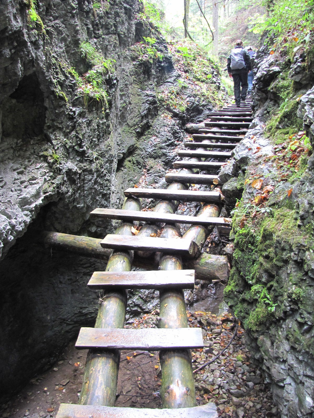 a Szlovák Paradicsom, a Suchá Belá szurdok, SzG3