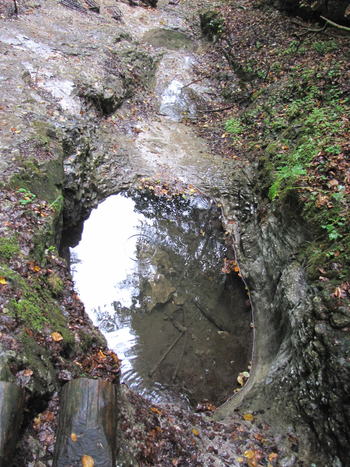 a Szlovák Paradicsom, a Suchá Belá szurdok, SzG3