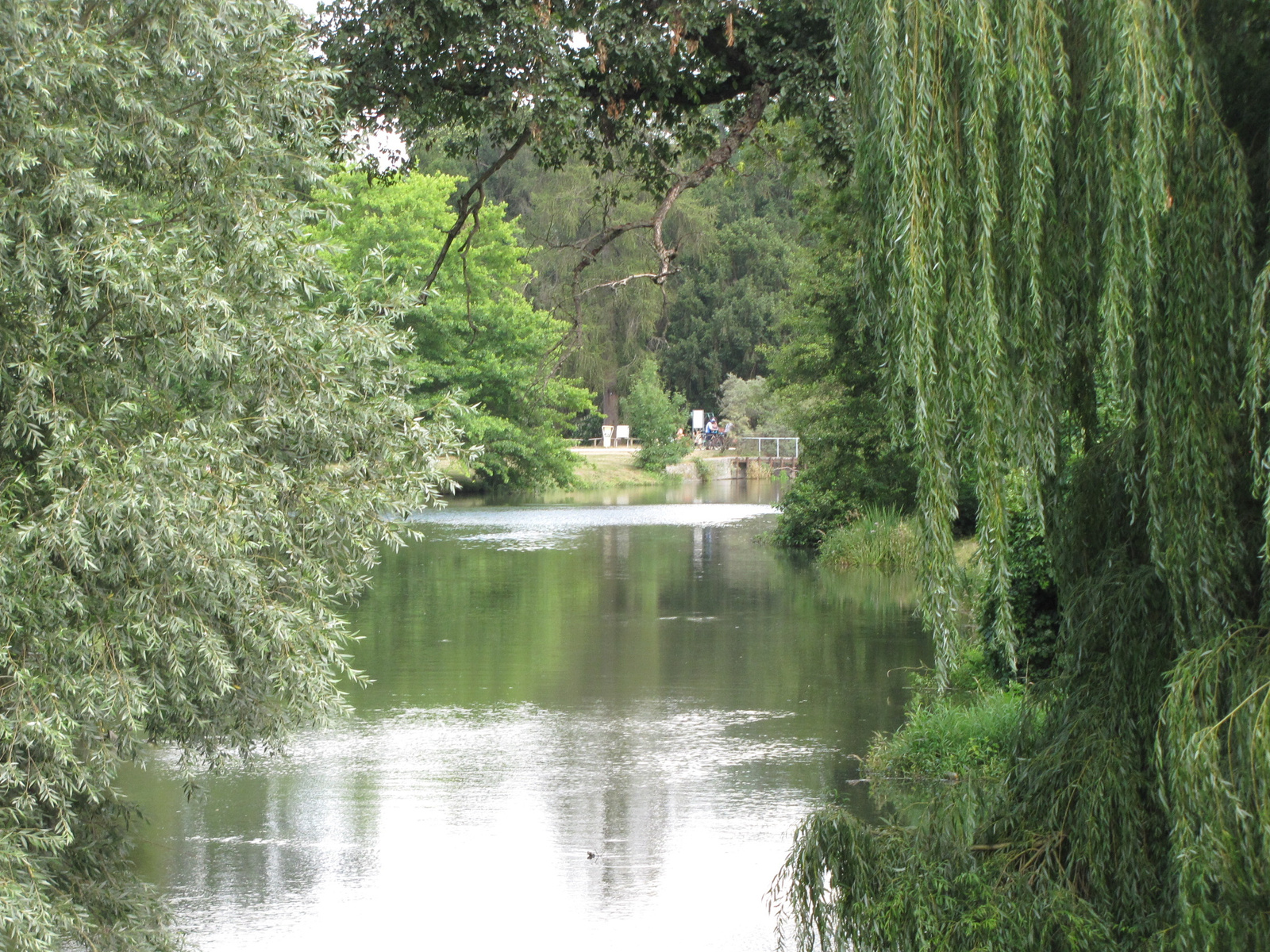 Lednice, a kastély parkja