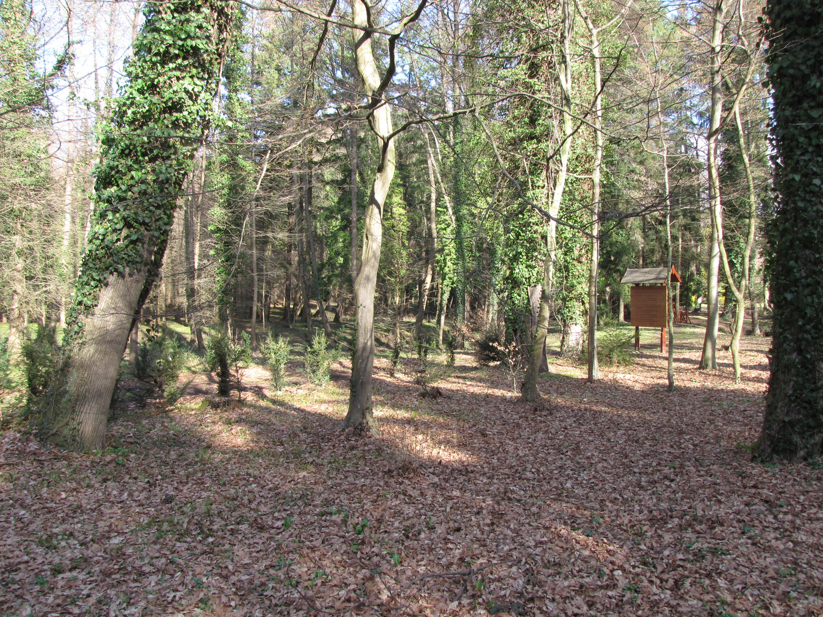 Zalaegerszeg, a csácsbozsoki Arborétum, SzG3