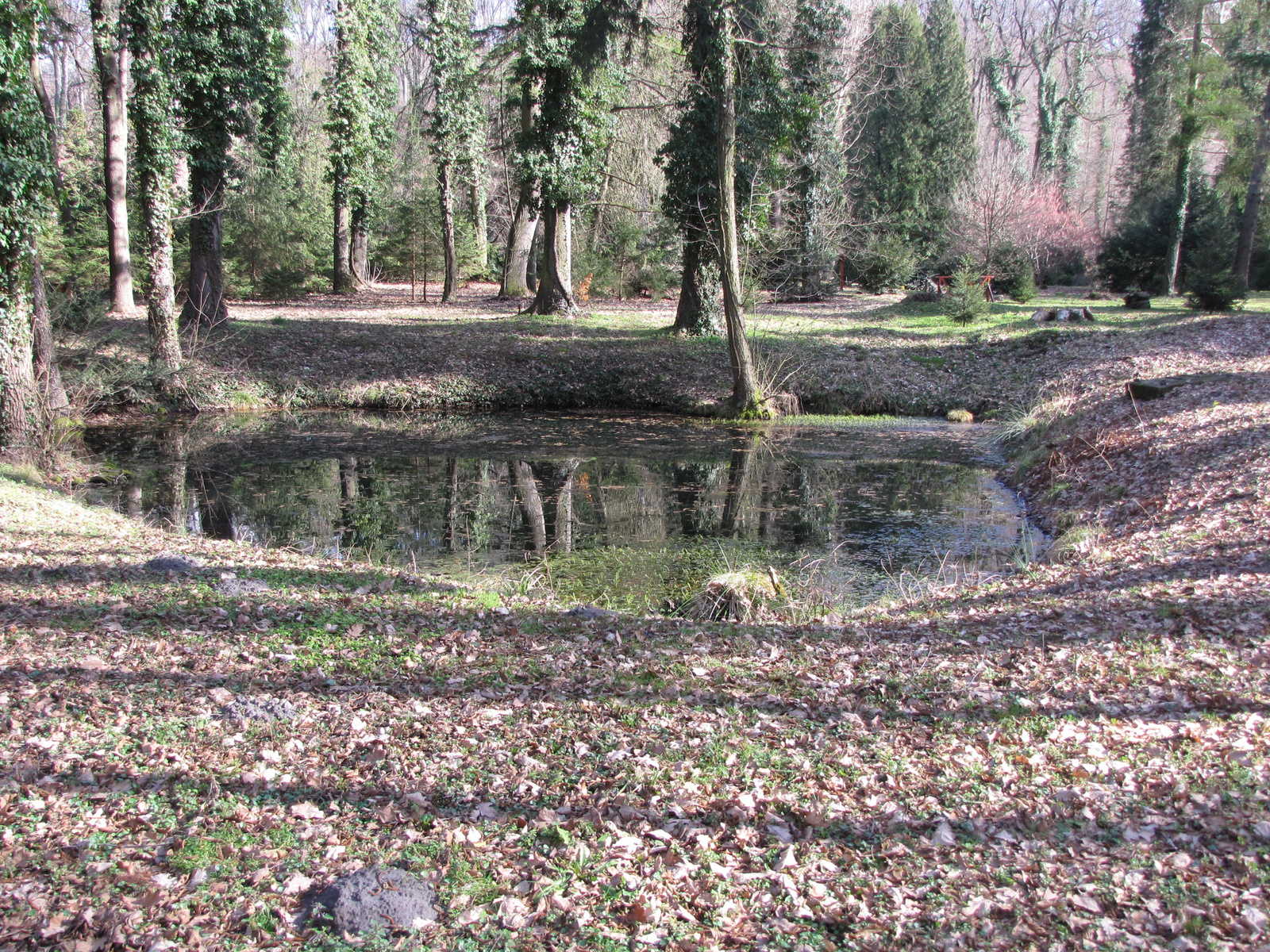 Zalaegerszeg, a csácsbozsoki Arborétum, SzG3