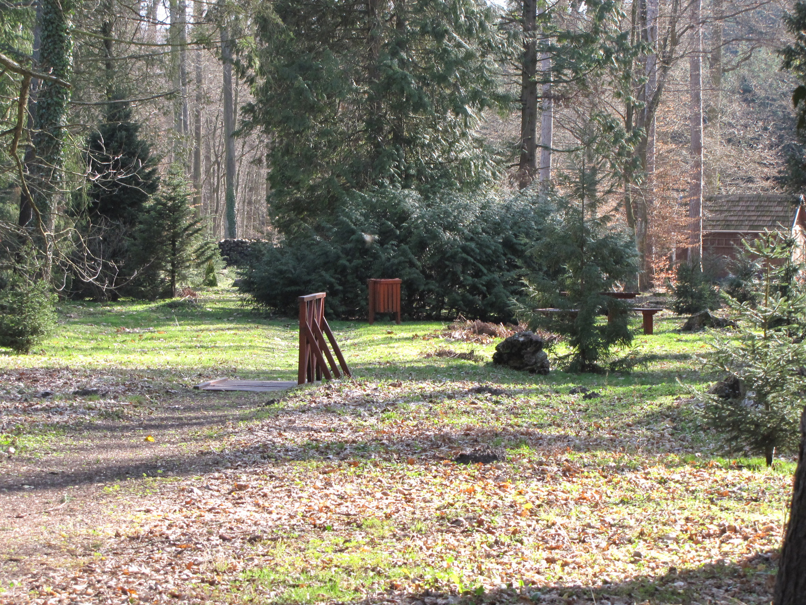 Zalaegerszeg, a csácsbozsoki Arborétum, SzG3