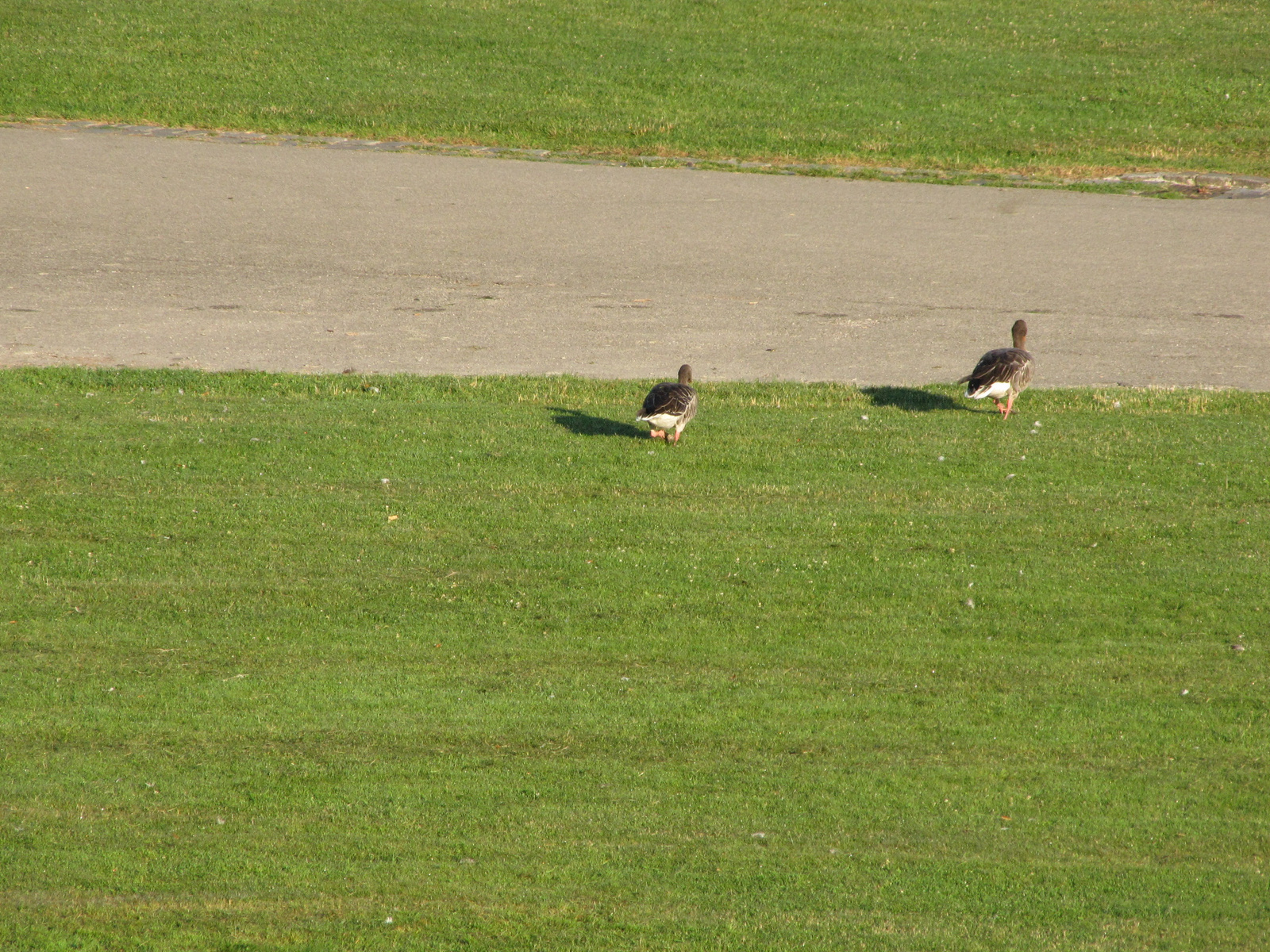 München, Westpark, SzG3