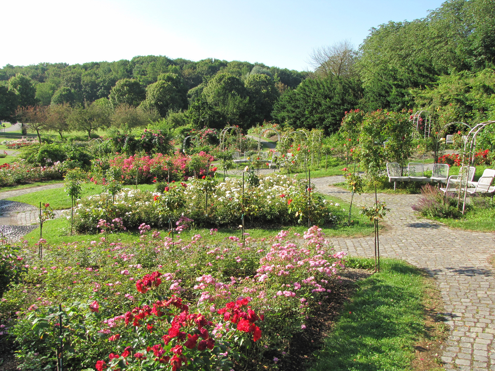 München, Westpark, Rosengarten, SzG3