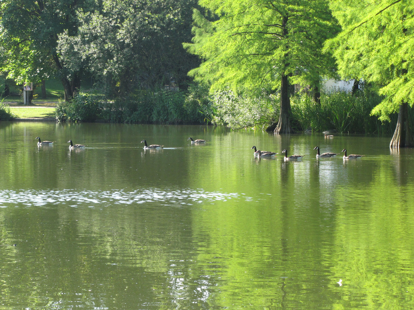 München, Westpark, SzG3