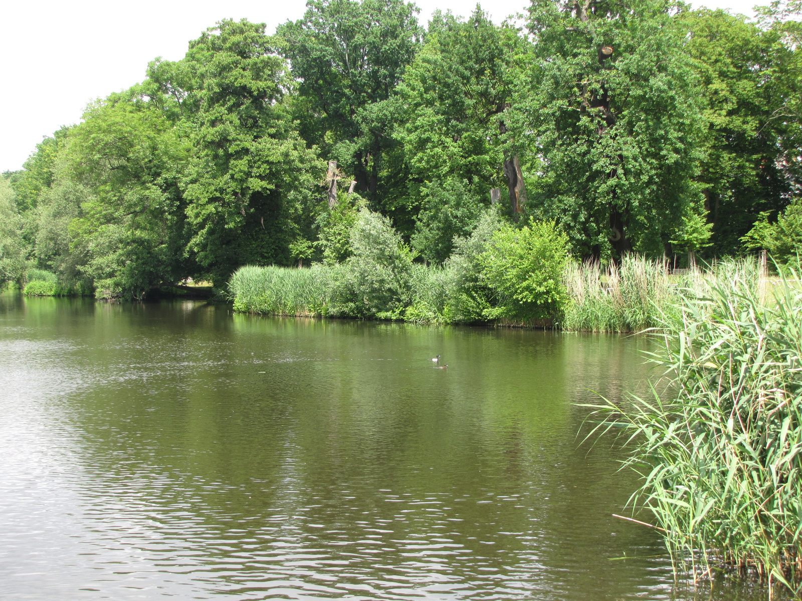 Berlin, Charlottenburg Palace, a park, SzG3