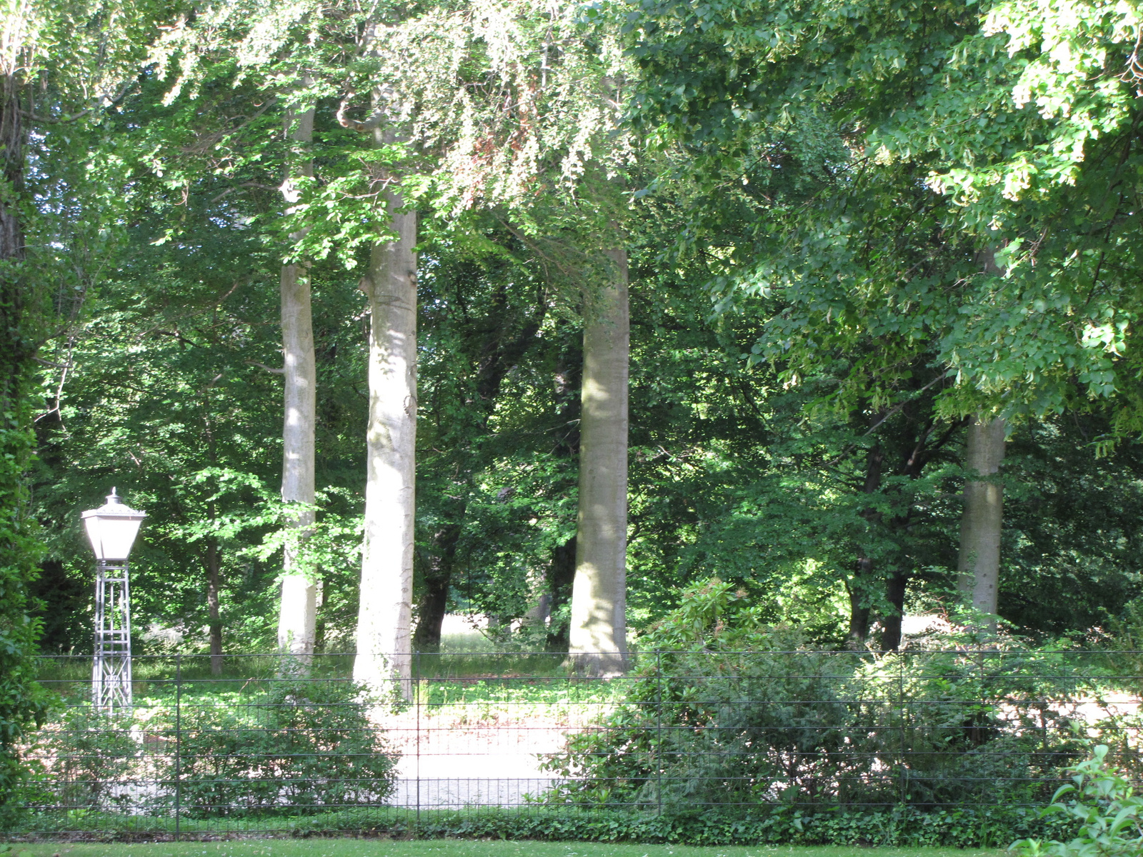 Berlin, Schloß Glienicke, a park, SzG3