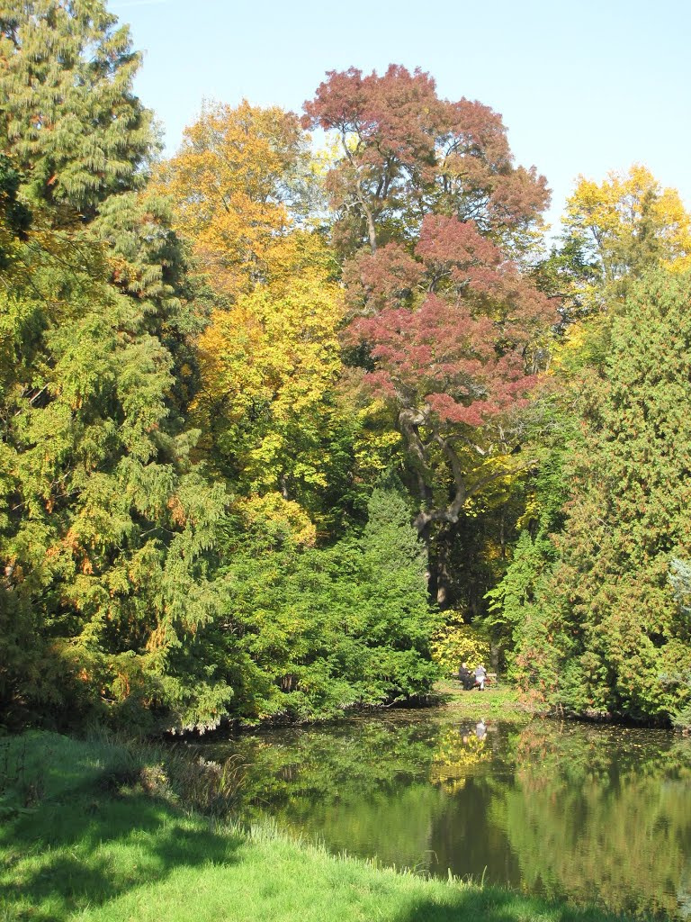 a Vácrátóti Arborétum ősszel, SzG3