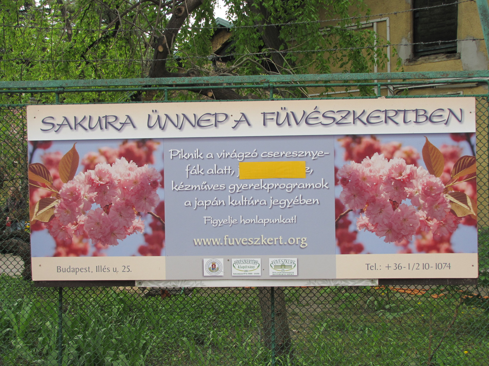 Budapest, Füvészkert, Sakura ünnep, SzG3