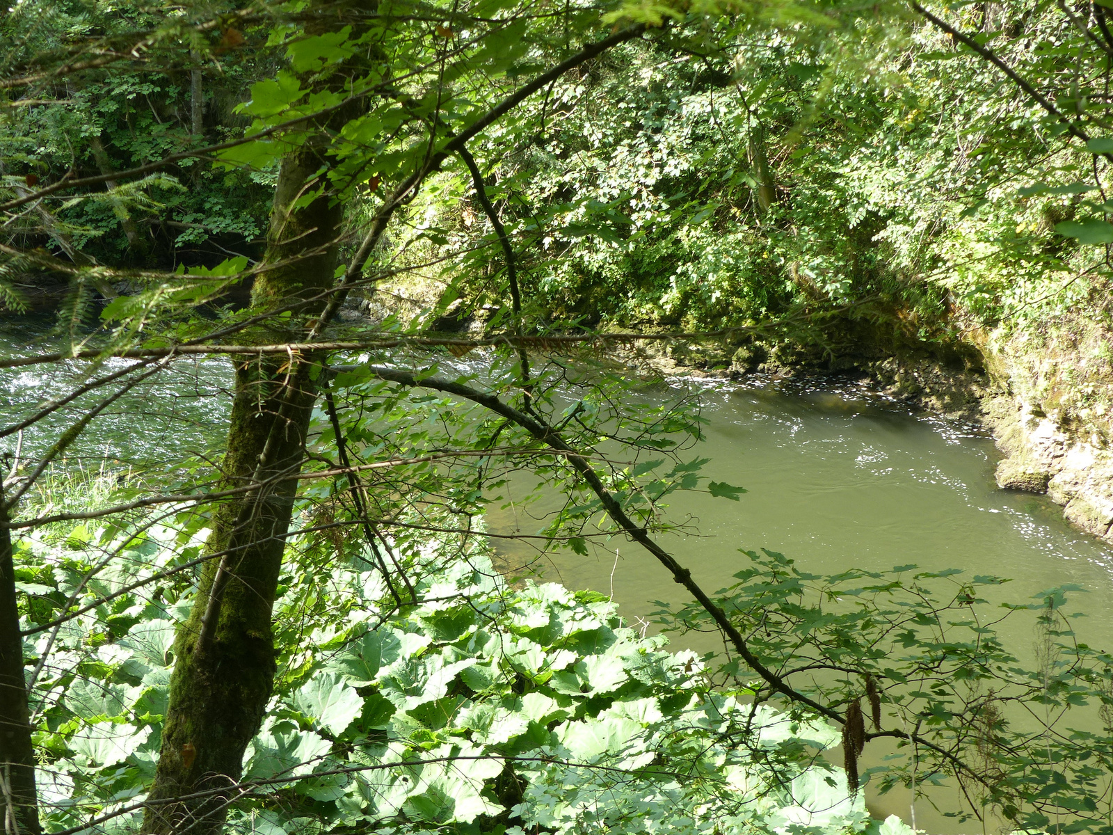 Szlovák Paradicsom, a Hernád völgye, SzG3