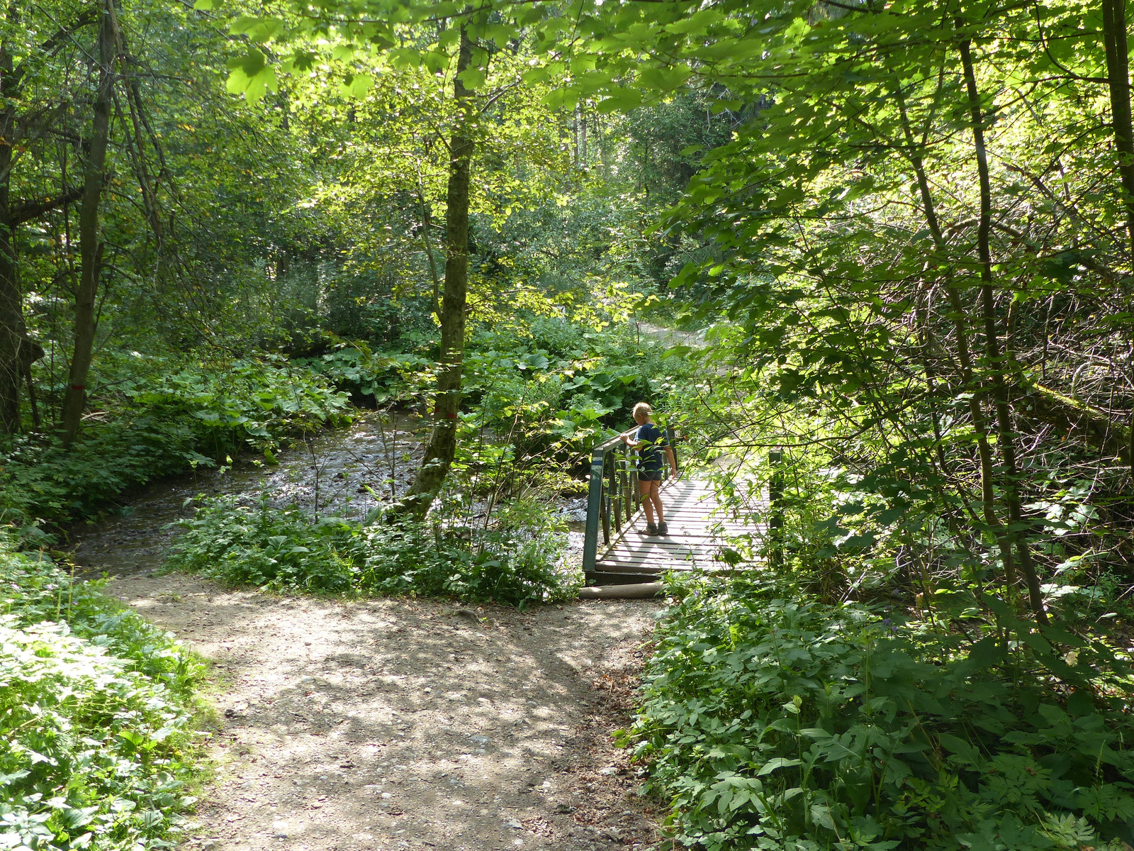 Szlovák Paradicsom, a Hernád völgye, SzG3